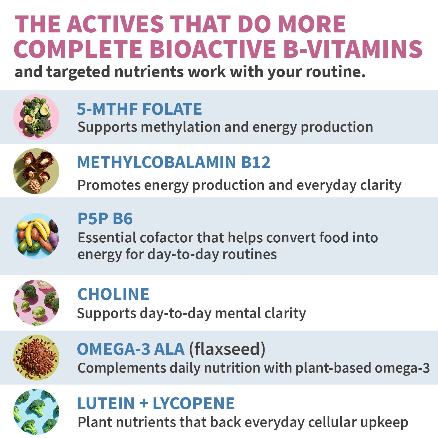 29-in-1 Methylated Multivitamin for Men & Women with Omega-3, Once Daily, 13 Vitamins, 12 Minerals, 4 Targeted Nutrients, Active B12, 5-MTHF Folate, P5P B6, Vegan, 70 Servings